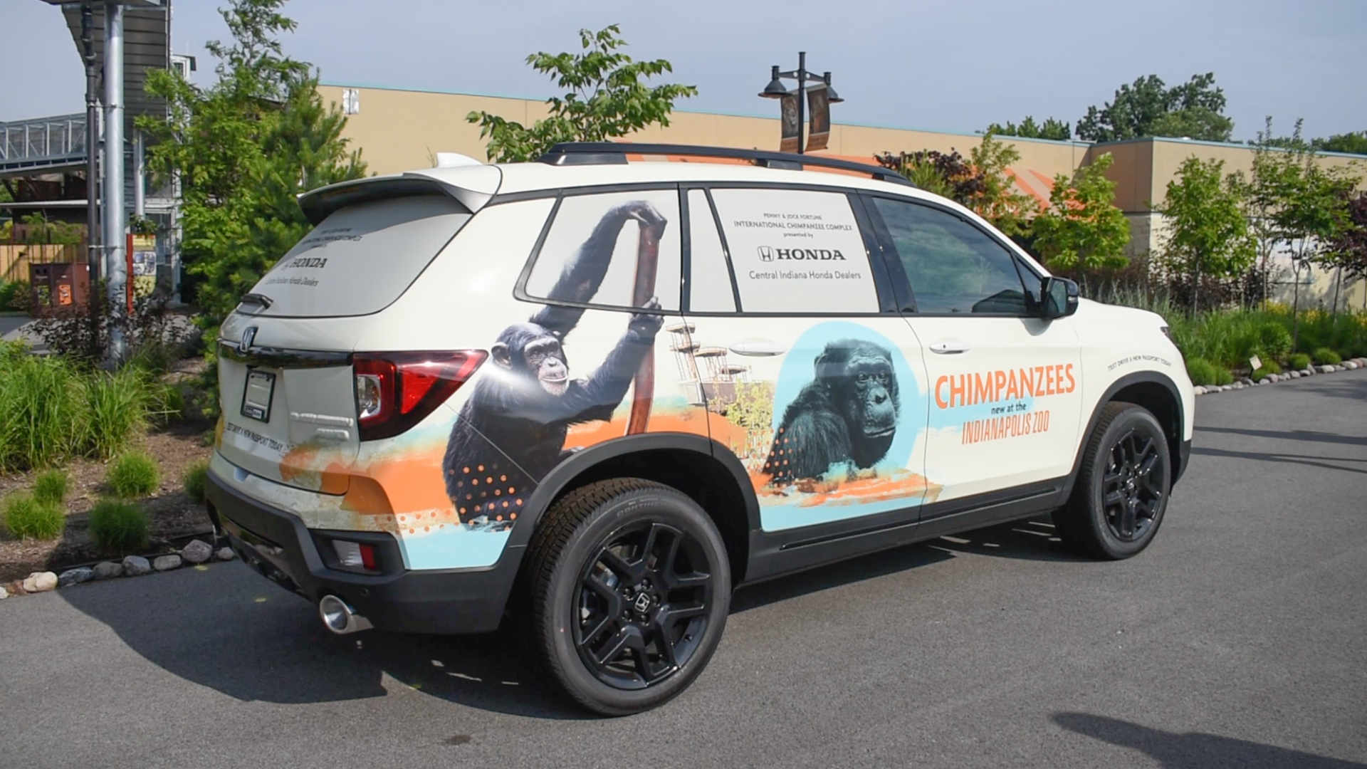 Jun. 2024 - International Chimpanzee Complex