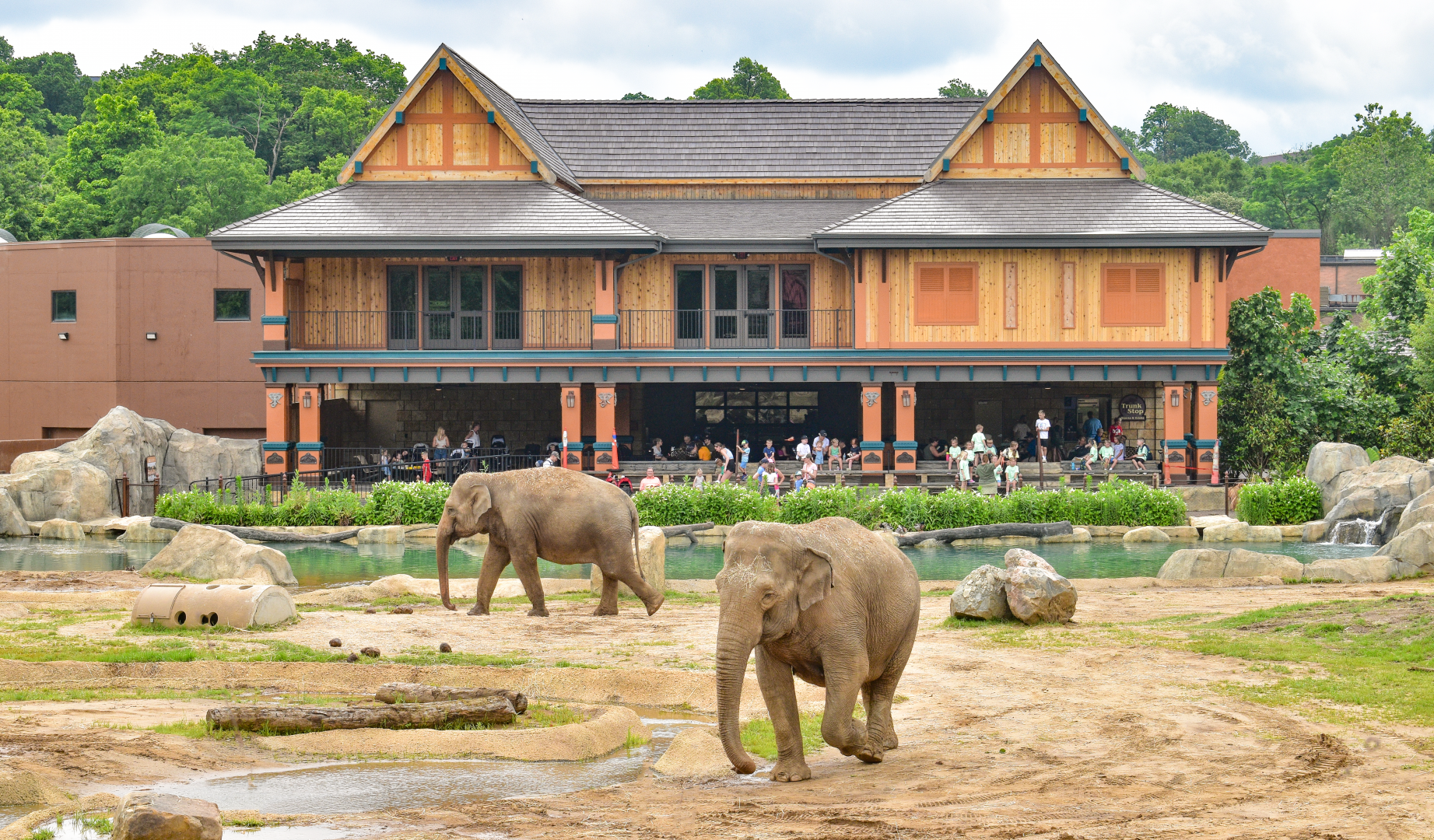 Jun. 2025 - Elephant Trek - Main Elephant Exhibit (1.8 Acres)