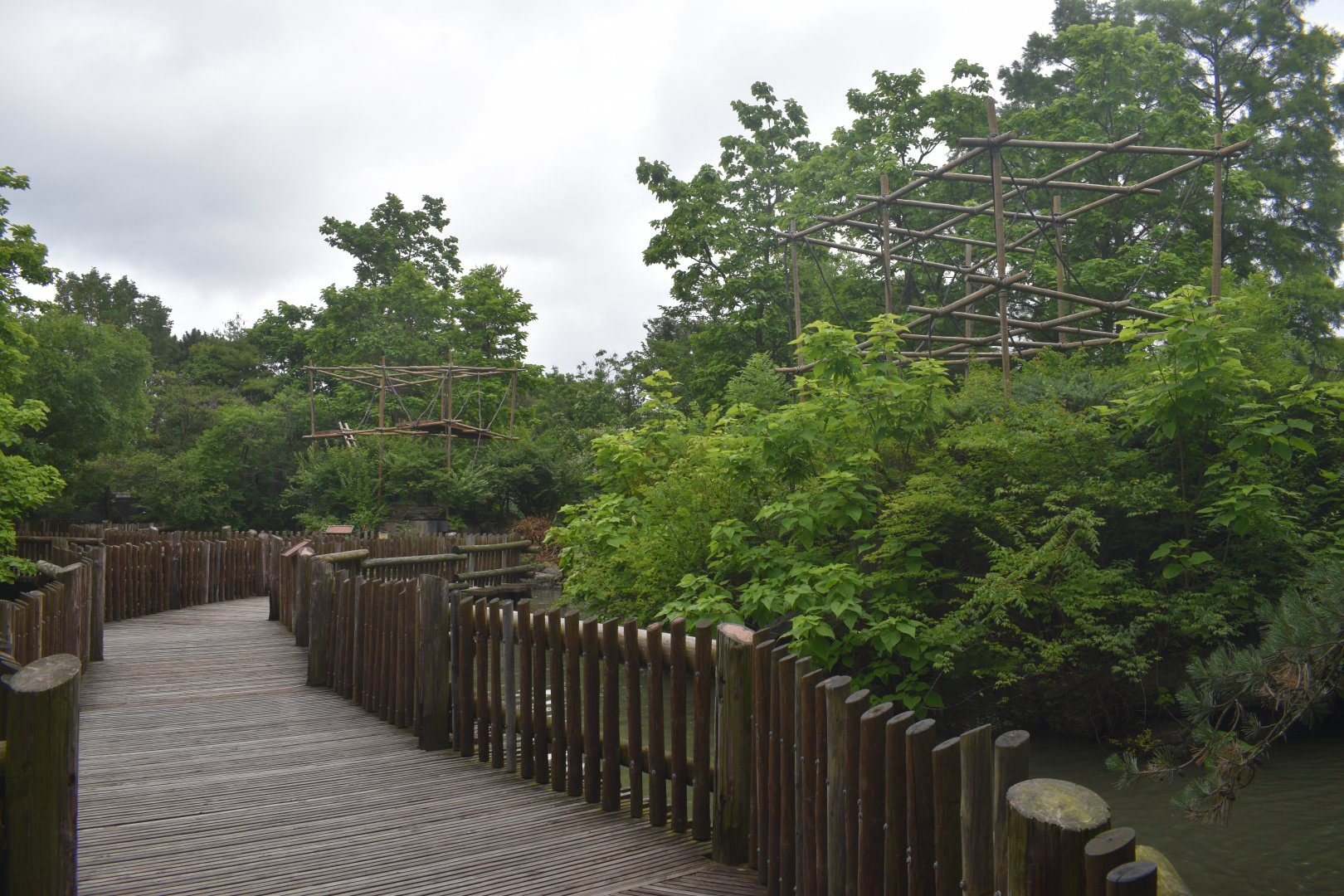 Jun. 2025 - Gibbon Islands (1974-2025)