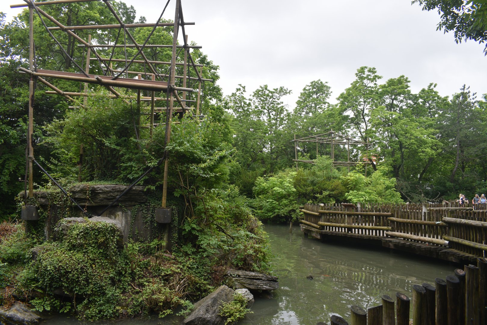 Jun. 2025 - Gibbon Islands (1974-2025)