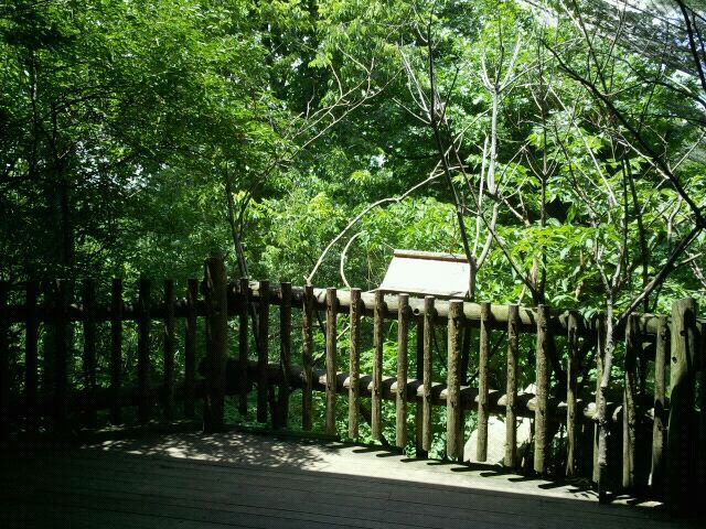 June 2012-Andean Condor viewing deck