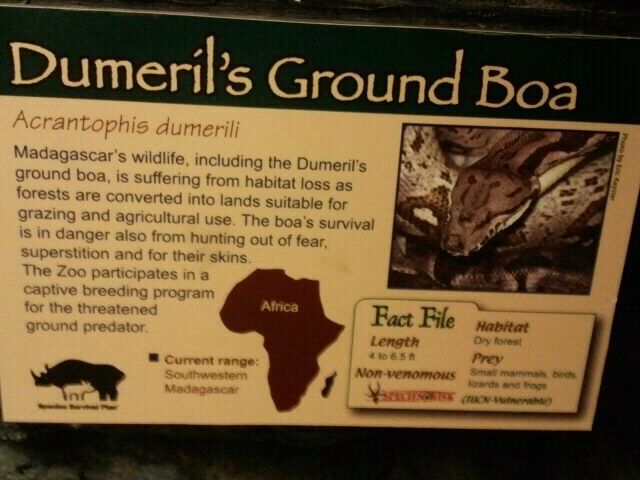 June 2012-Boa sign in Jungle Trails