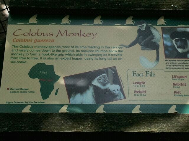 June 2012-Colobus sign at Gorilla World