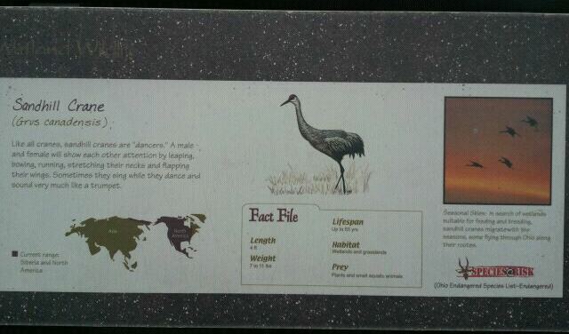 June 2012-Crane sign at Wetland Trails