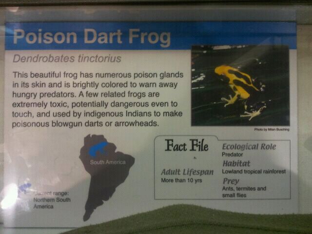 June 2012-Dart frog sign in World of the Insect