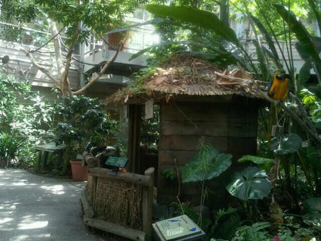 June 2012-Discovery Forest Macaw/Snake/Sloth exhibits