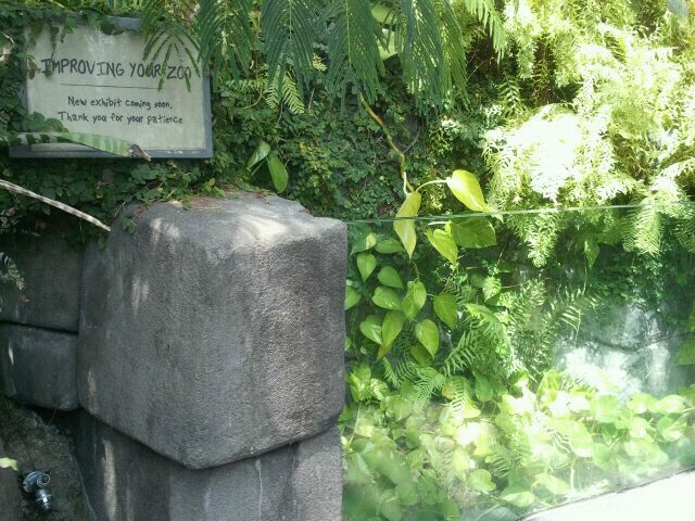 June 2012-Empty exhibit in Discovery Forest