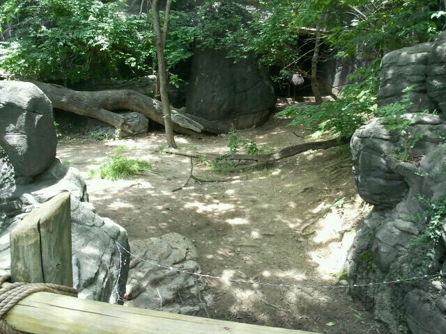 June 2012-Emu exhibit (find the emu?)