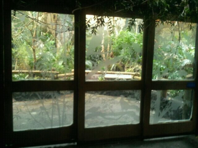 June 2012-Entrance to Australasia in Wings of the World