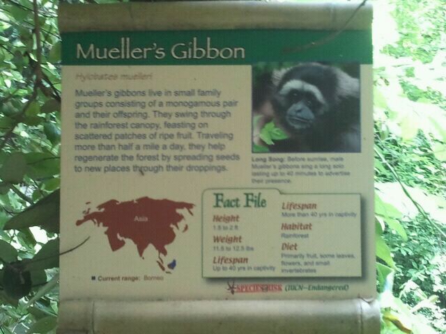 June 2012-Gibbon sign in Jungle Trails