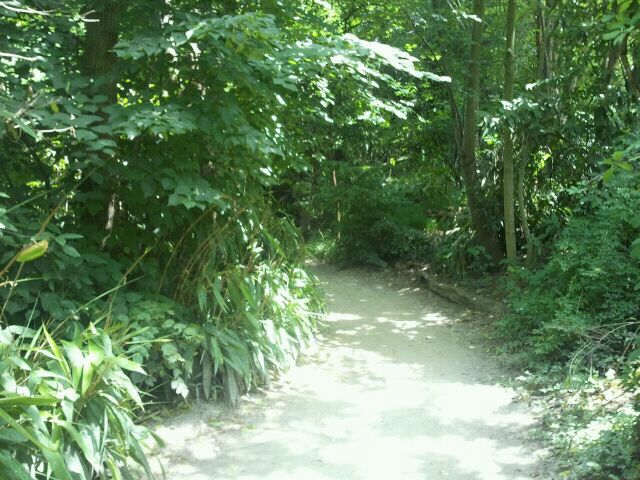 June 2012-Jungle Trails Entrance Path
