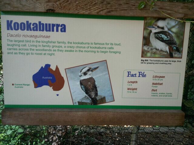 June 2012-Laughing Kookaburra sign at Wings of the World