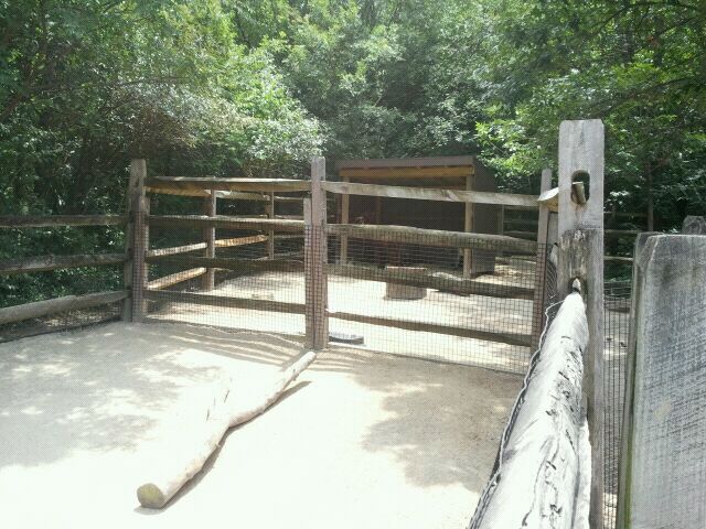June 2012-Llama/Miniature donkey exhibit