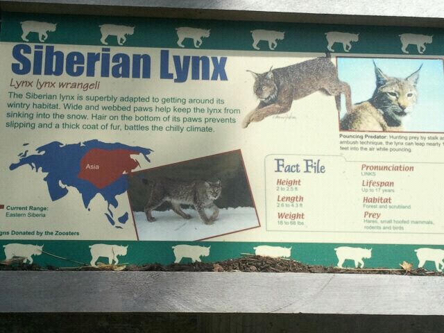 June 2012-Lynx sign at Night Hunters