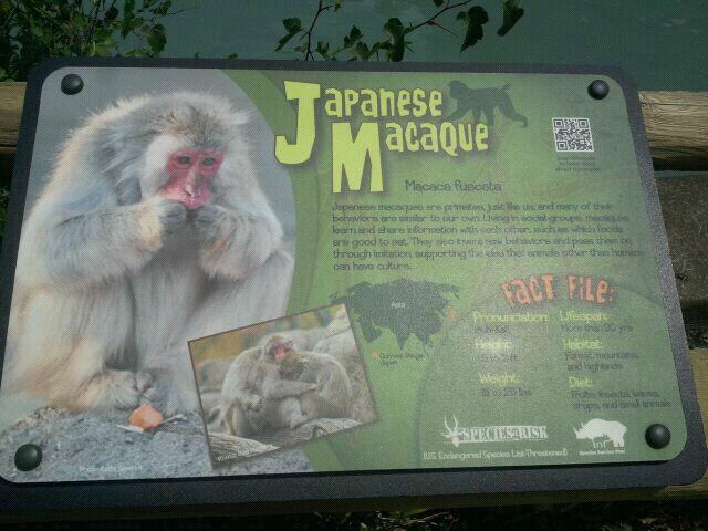 June 2012-New Macaque sign at Monkey Island