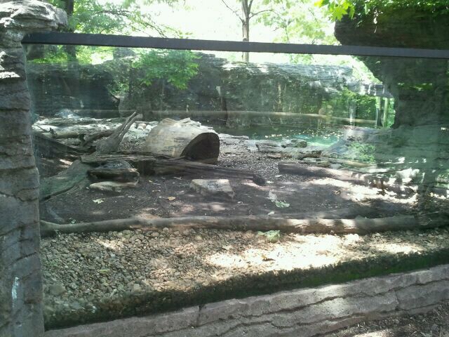 June 2012-North American river otter exhibit