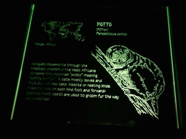 June 2012-Potto sign in Jungle Trails
