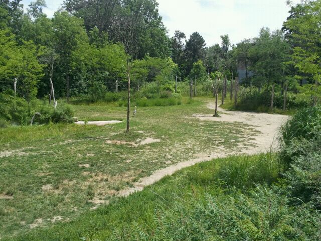 June 2012-Right side of Giraffe Ridge