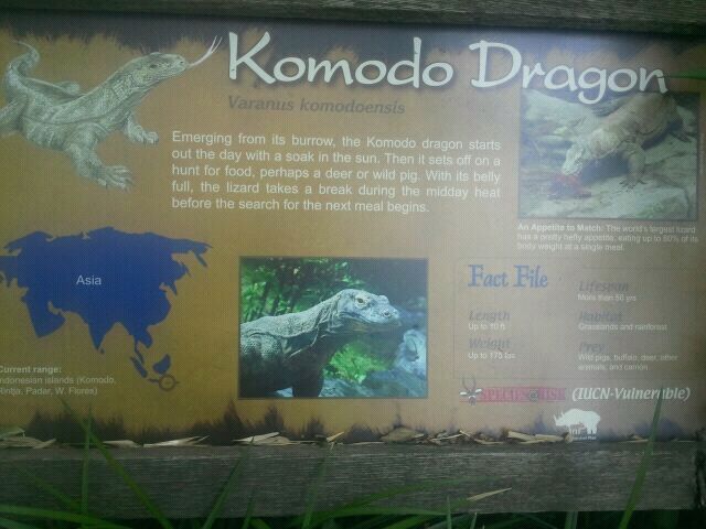 June 2012-Sign at Dragons!