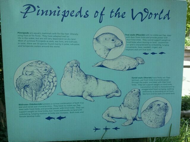 June 2012-Sign at the Sea Lion exhibit