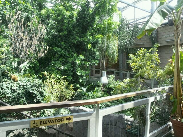 June 2012-View of Discovery Forest