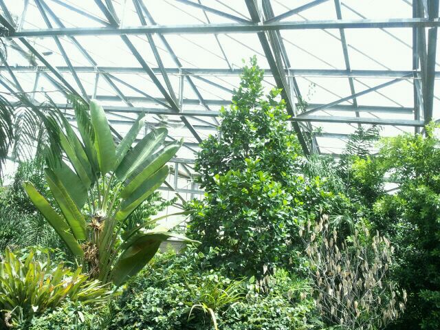 June 2012-View of Discovery Forest