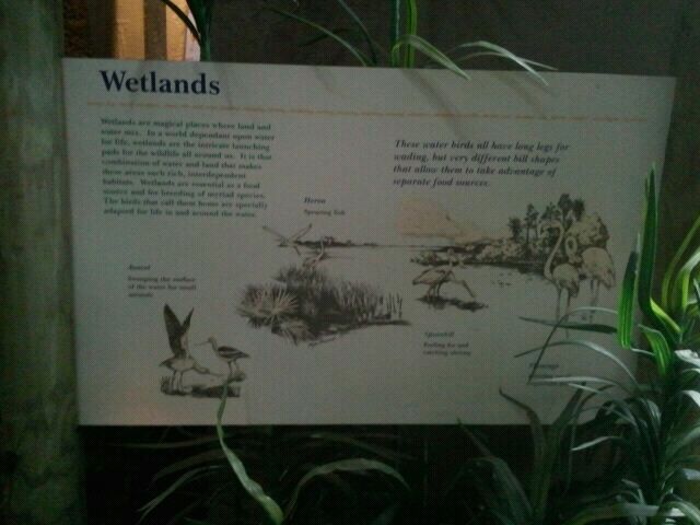 June 2012-Wetlands Exhibit Sign in Wings of the World