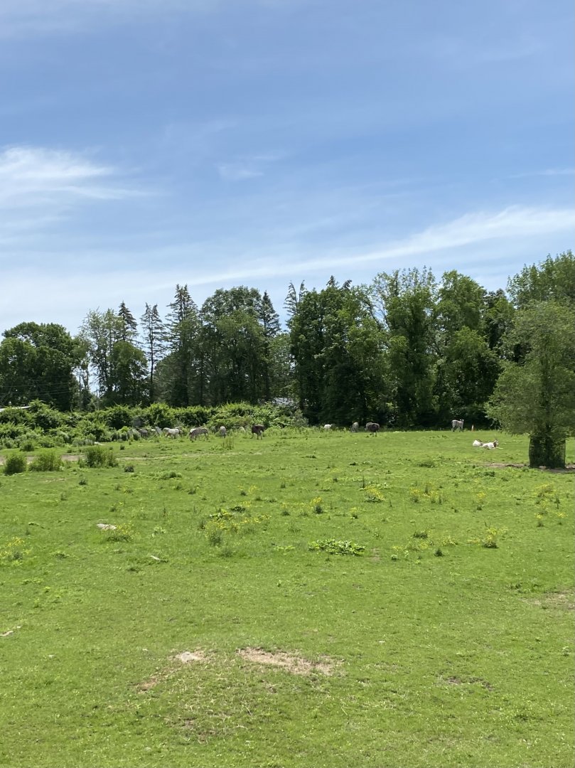 June 2021 Savanna Exhibit 2