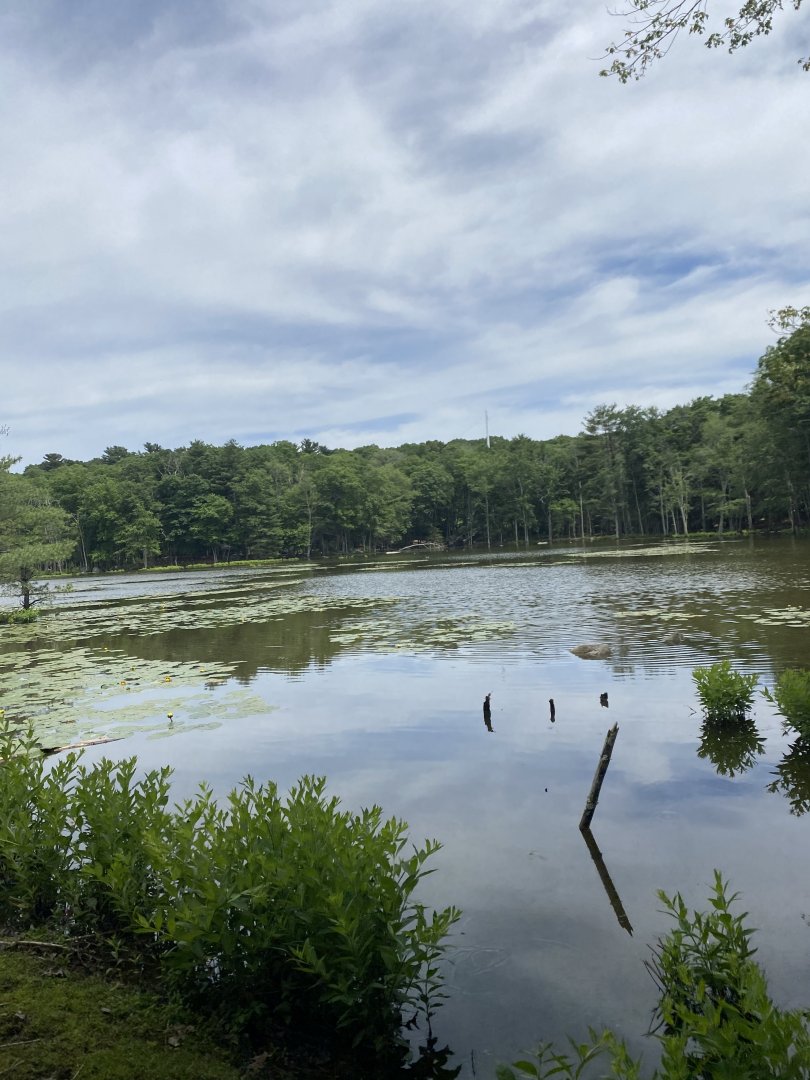 June 2021 Wetlands