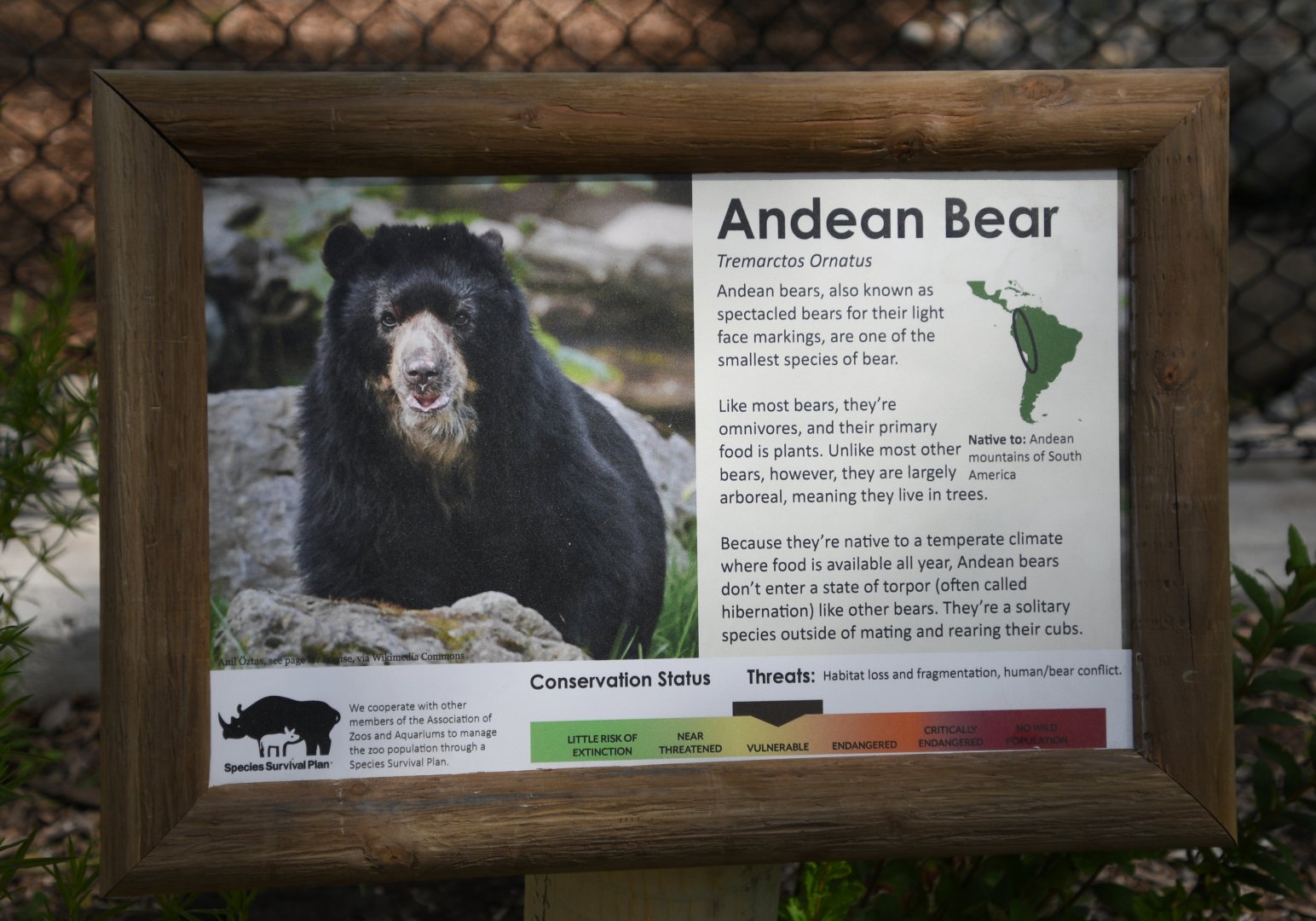 June 2024 - Andean Bear Signage