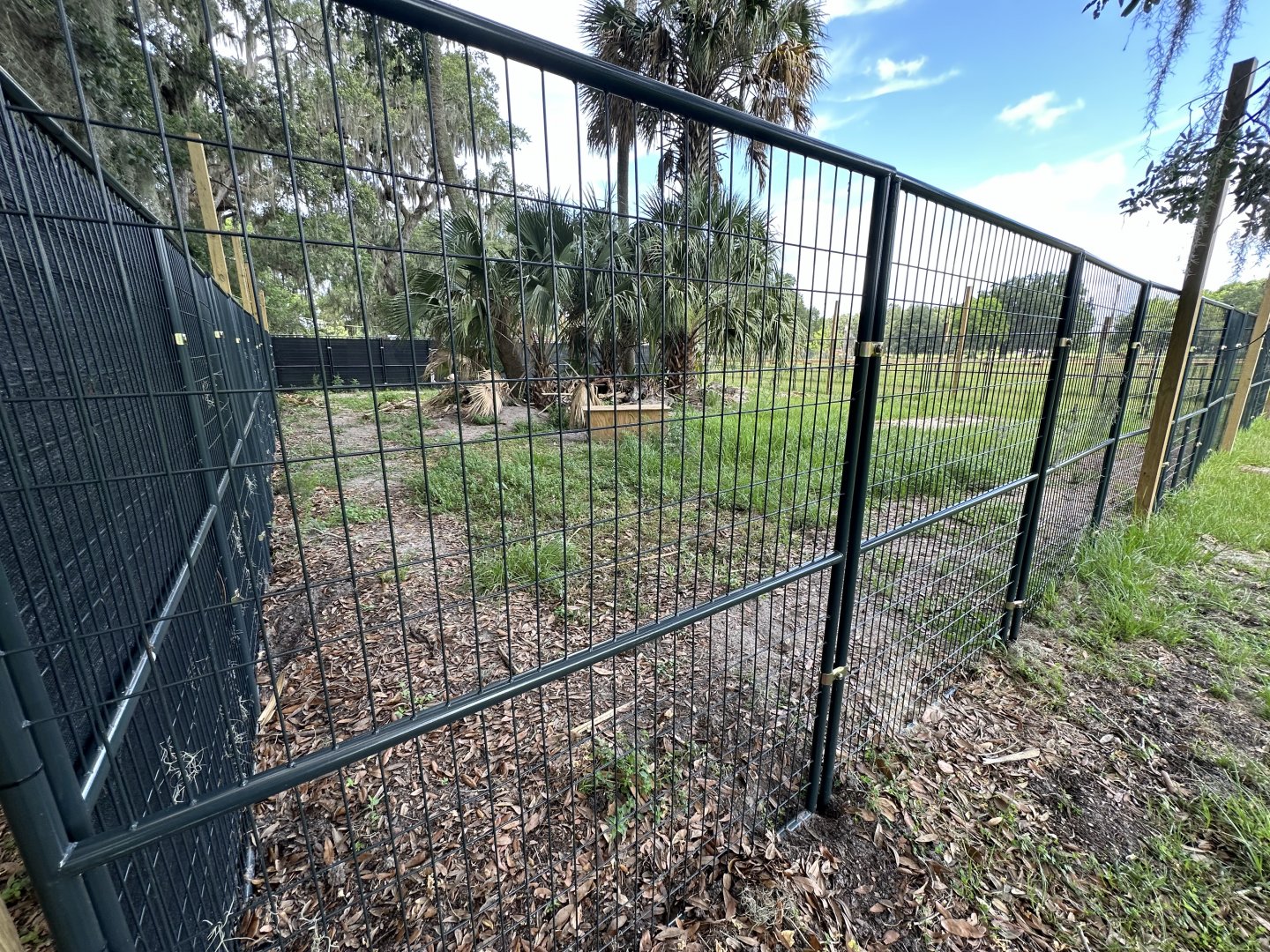 June 2024 - Chase Sanctuary - Bat-Eared Fox Enclosure