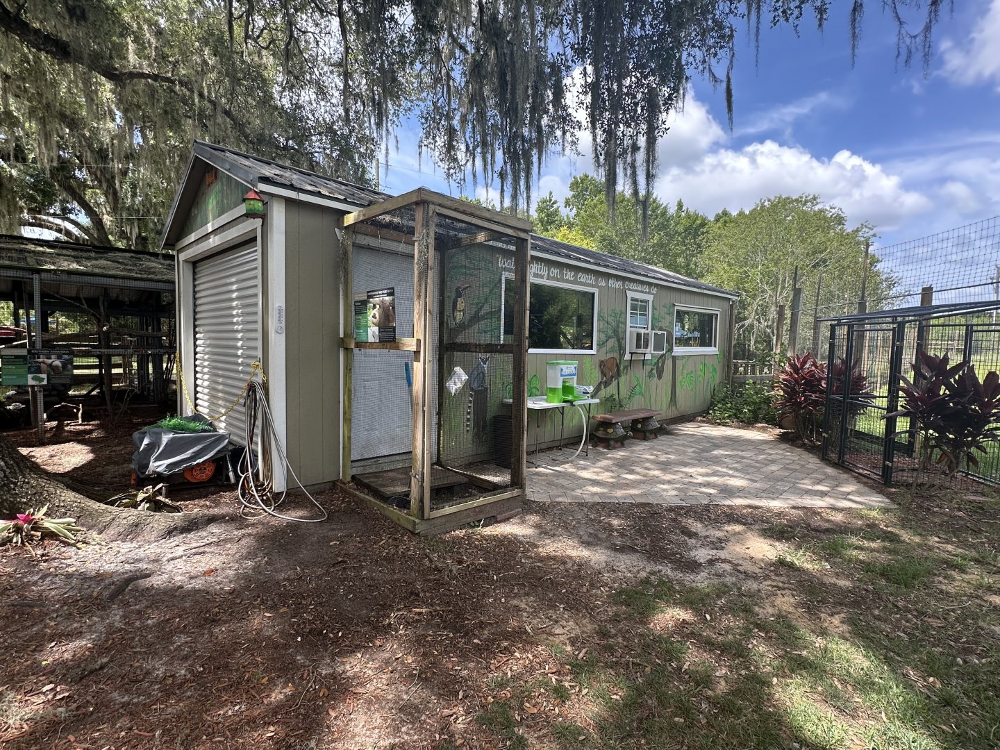 June 2024 - Chase Sanctuary - General Area around the “Sloth House”