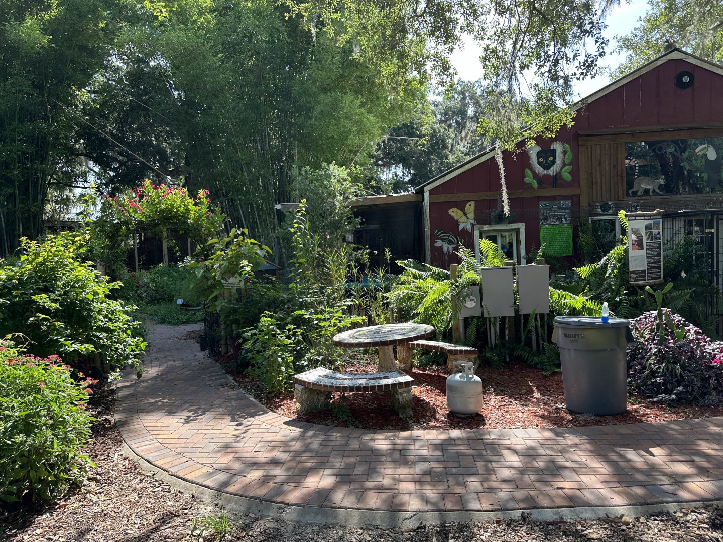 June 2024 - Chase Sanctuary - General Area