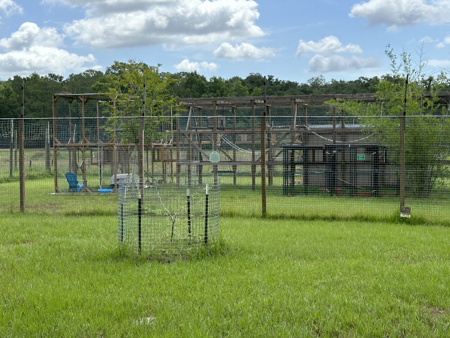 June 2024 - Chase Sanctuary - Green Monkey Enclosure