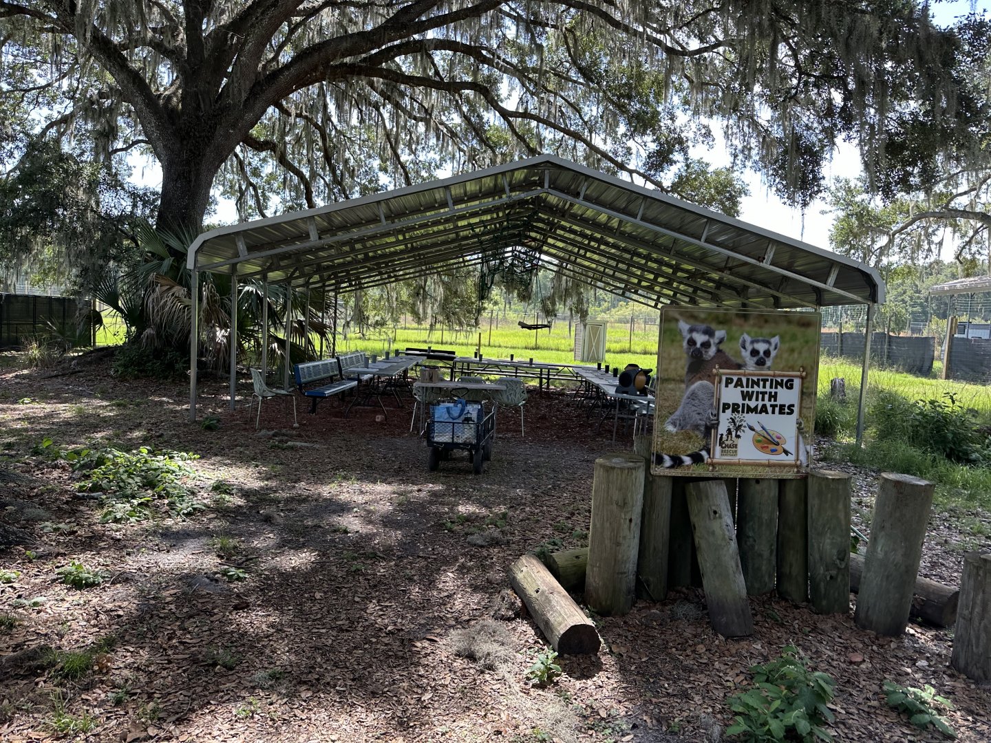 June 2024 - Chase Sanctuary - “Painting With Primates” Area