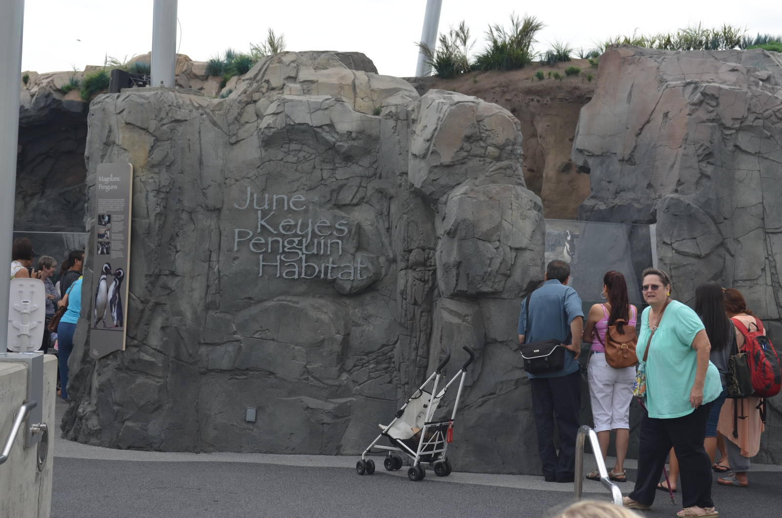 June Keyes Penguin Habitat - July 13, 2012