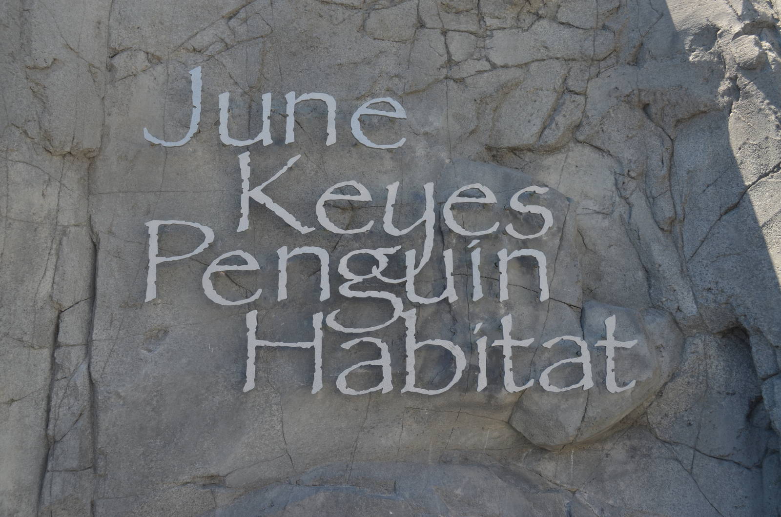 June Keyes Penguin Habitat Signage