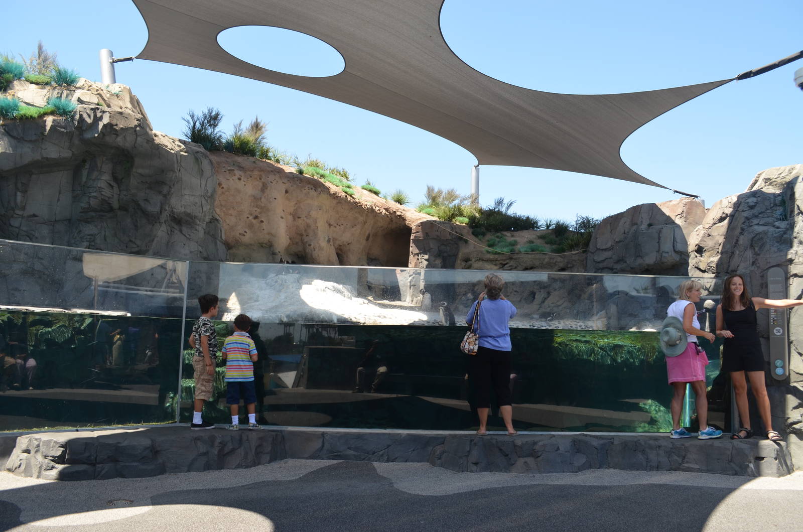 June Keyes Penguin Habitat