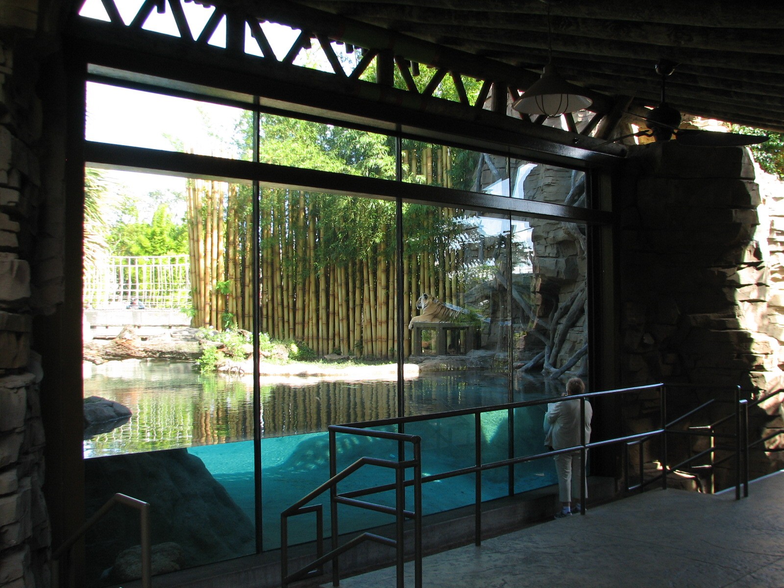 Jungala - Bengal Tiger Exhibit 1 - Viewing Shelter