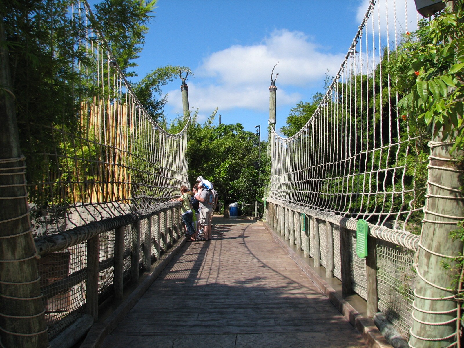 Jungala - Bengal Tiger Exhibit 1 - Visitor Bridge