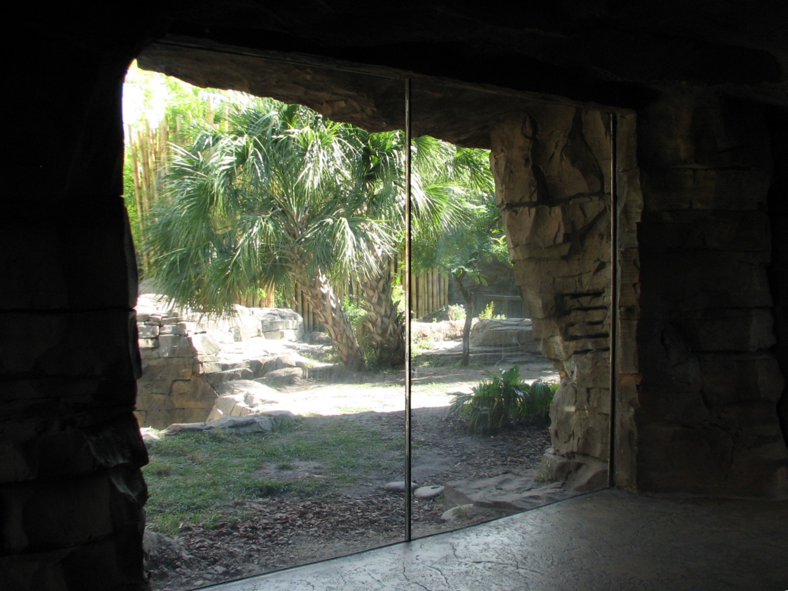 Jungala - Bengal Tiger Exhibit 1