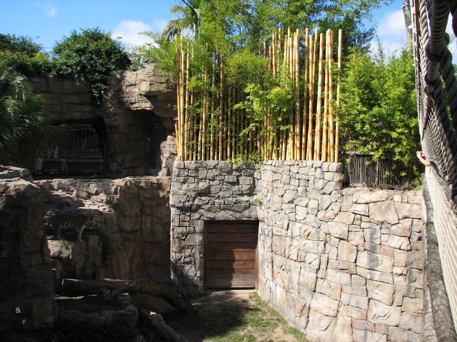 Jungala - Bengal Tiger Exhibit 1