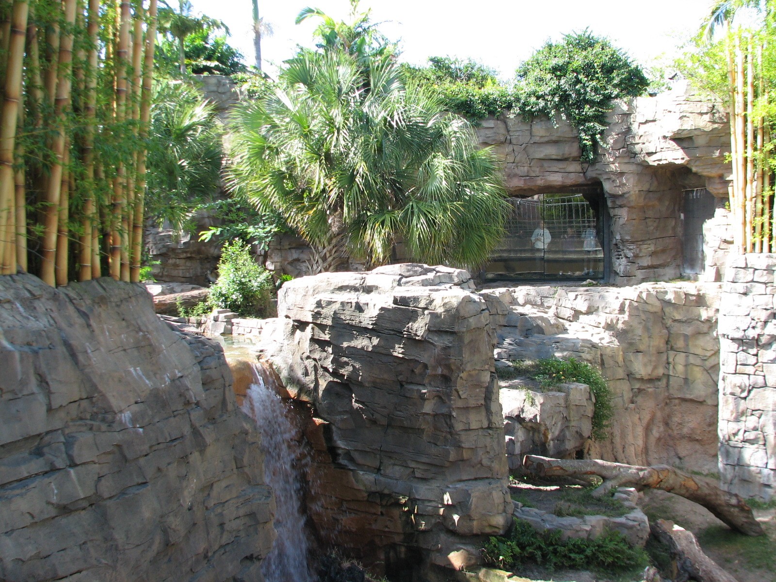 Jungala - Bengal Tiger Exhibit 1