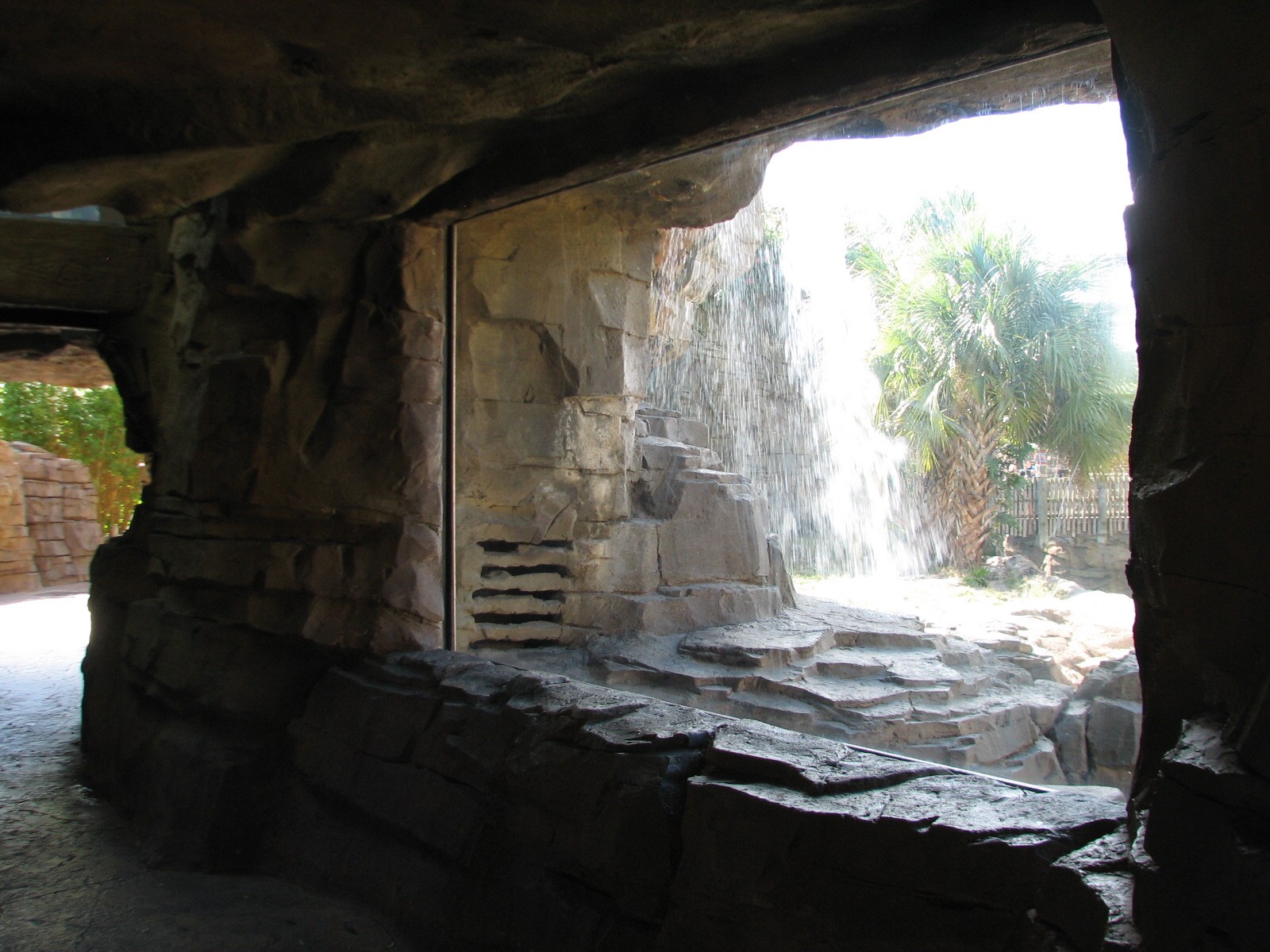Jungala - Bengal Tiger Exhibit 2