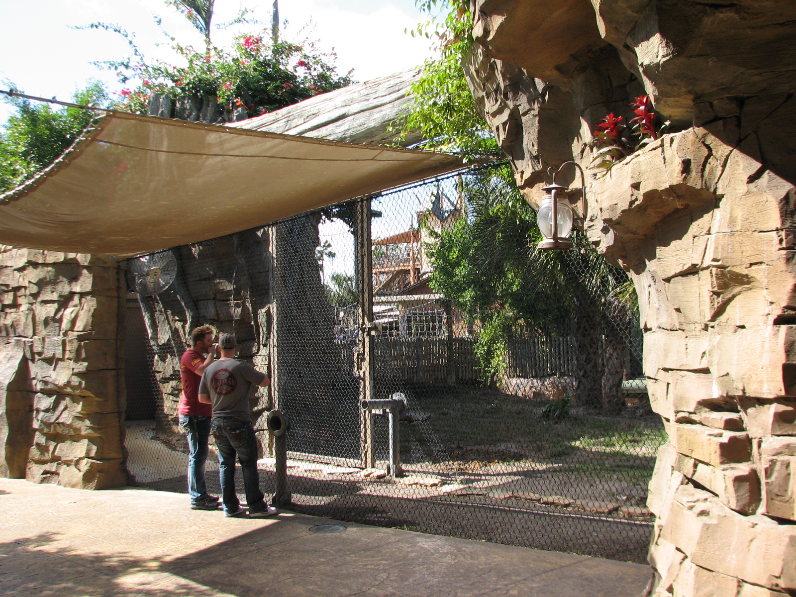 Jungala - Bengal Tiger Exhibit 2