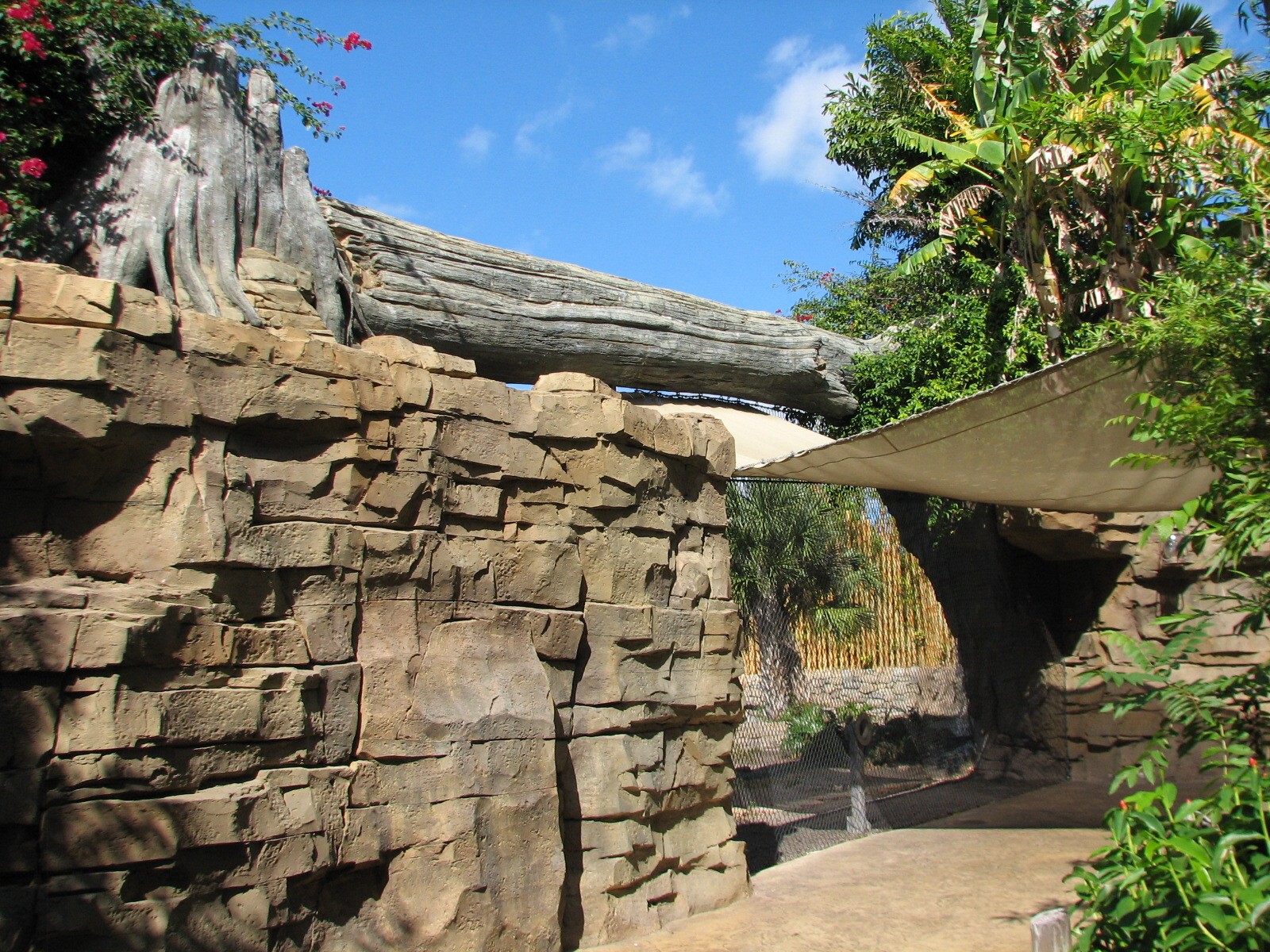 Jungala - Bengal Tiger Exhibit 2