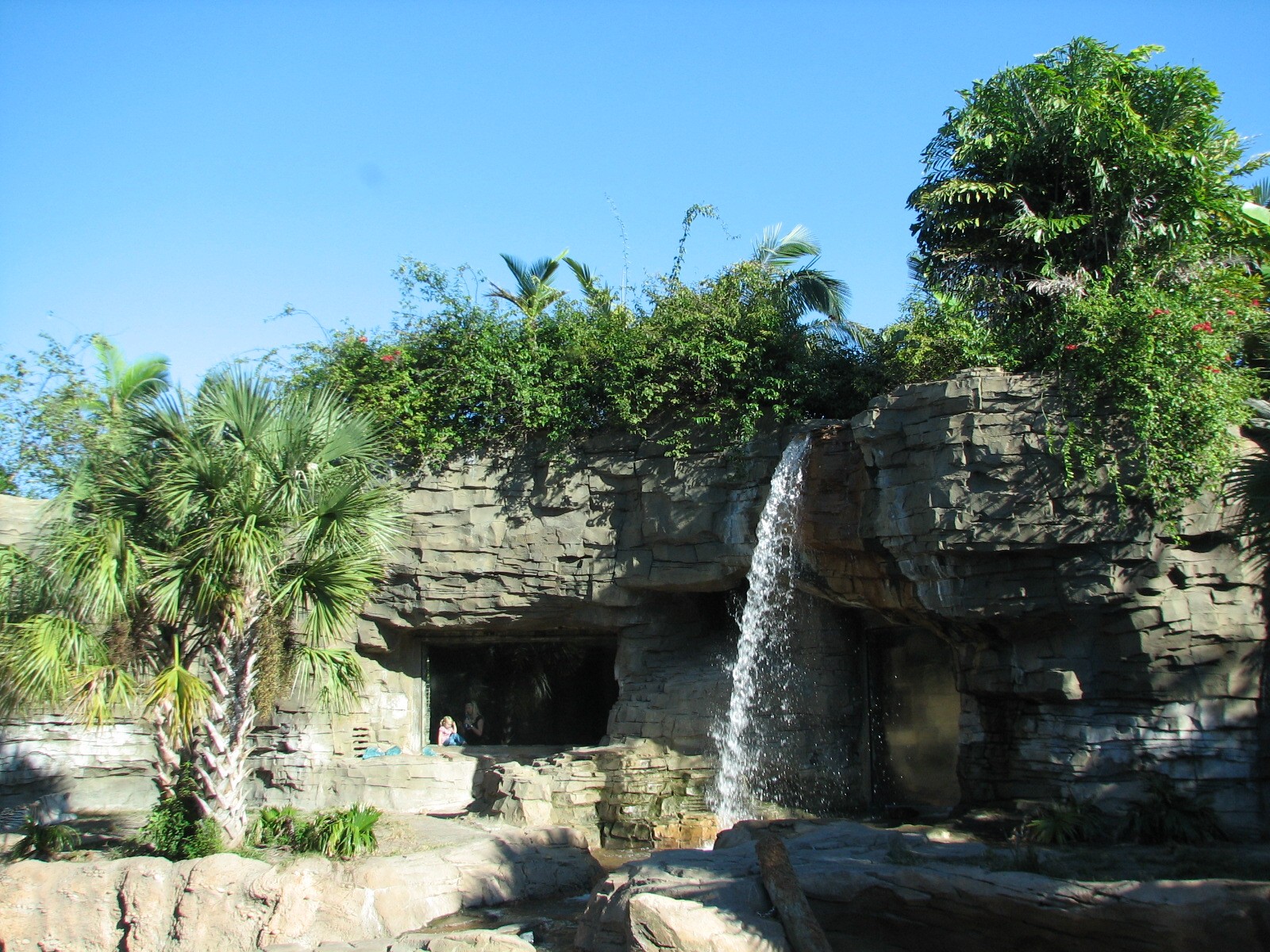 Jungala - Bengal Tiger Exhibit 2
