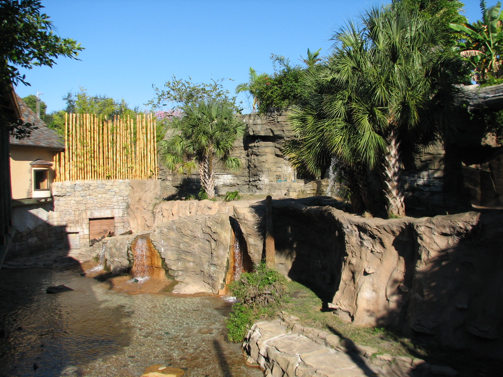 Jungala - Bengal Tiger Exhibit 2