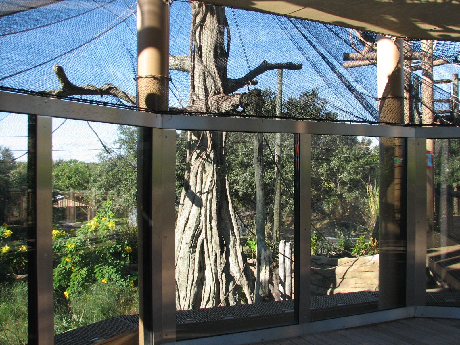 Jungala - Flying Fox Exhibit - Upper Viewing Area
