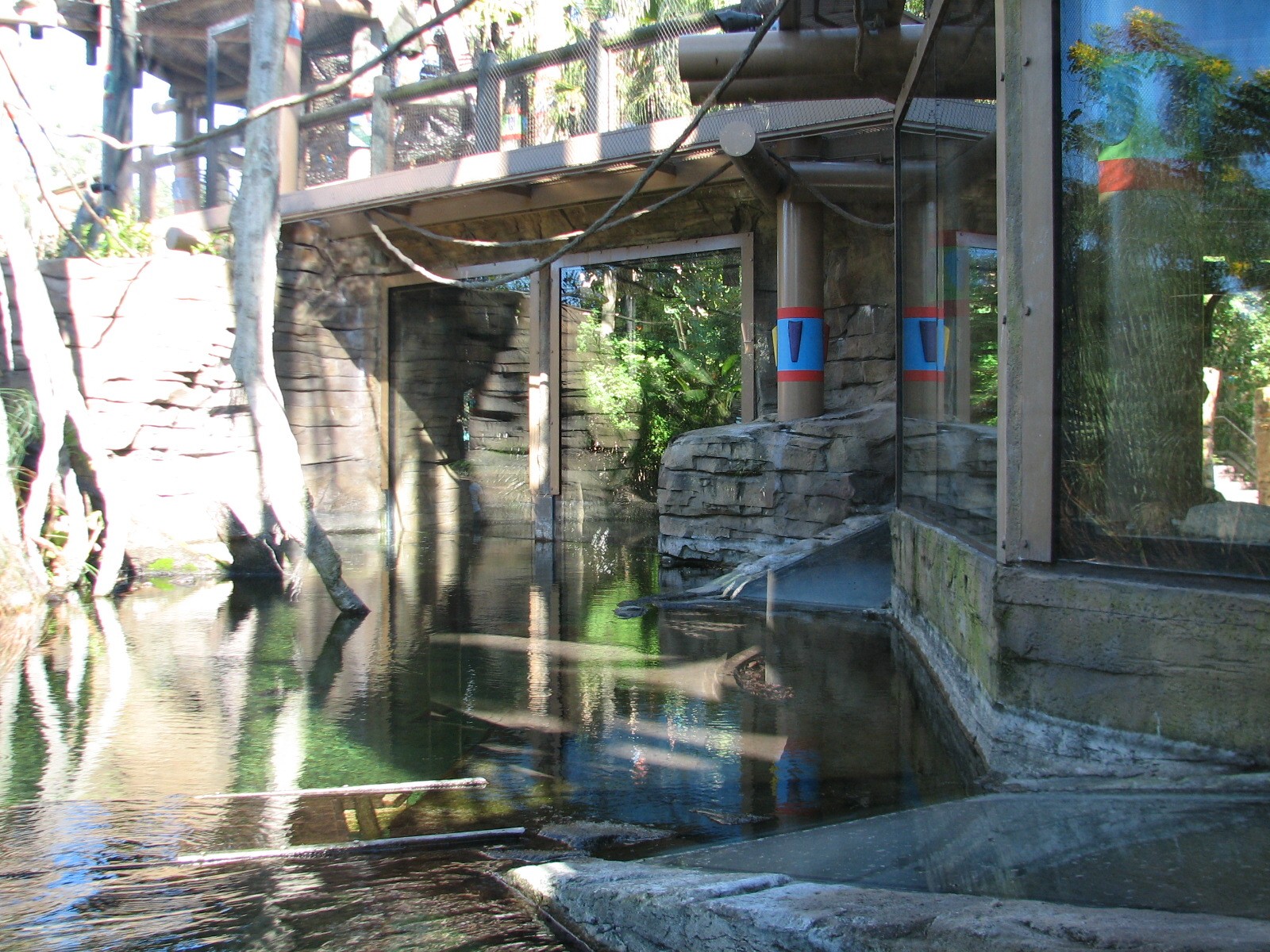 Jungala - Flying Fox Exhibit